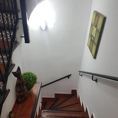 Chalet Jardin Botanico Adeje أذيخي